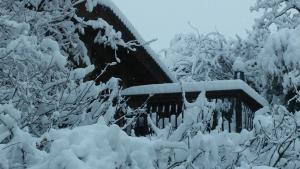 First Light Cabins durante l'inverno