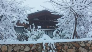 First Light Cabins durante l'inverno