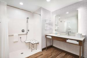 Hampton Inn Clewiston的一间浴室