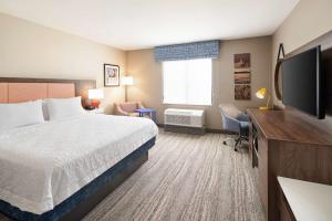 Hampton Inn Clewiston的电视和/或娱乐中心