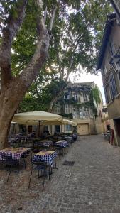 een groep tafels en stoelen onder een boom bij Le Saint Didier - WIFI - Central in Avignon