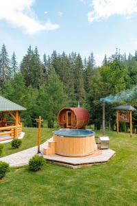 Gallery image of ViiLa Munte Călimani in Topliţa