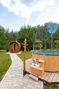 Gallery image of ViiLa Munte Călimani in Topliţa