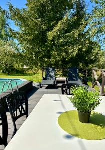 une terrasse avec une table, des chaises et une piscine dans l'établissement Semo guest house with amazing sauna and pool, à Vecumnieki