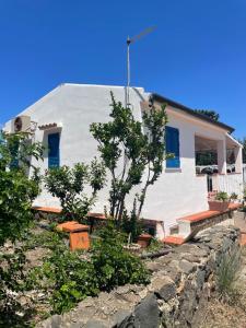 una casa bianca con finestre e alberi con persiane blu di Villa Paso a Ustica