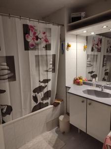 y baño con lavabo y ducha. en Appartement idéalement situé en Saint-Raphaël