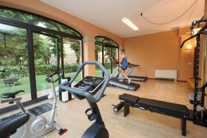 Fitness centrum a/nebo fitness zařízení v ubytování Hotel Le Ville