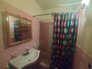 ブルックリンにあるRaleigh Room Rentalの洗面台とシャワーカーテン付きのバスルーム