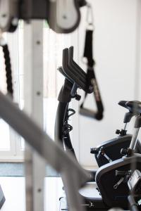 Fitness centrum a/nebo fitness zařízení v ubytování Villa de Beyaerd