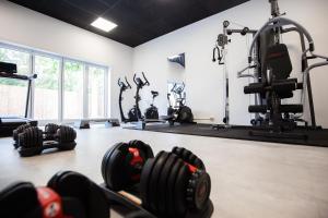 un gimnasio con pesas y otros equipos de ejercicio en Villa de Beyaerd en Hulshorst