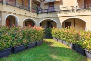 a row of plants in front of a building at Emerald Suites in Stresa