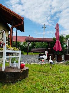 dos pájaros de pie en la hierba junto a un banco y un paraguas en Casa Raisa & Maria, en Ocna Sibiului