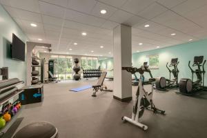 un gimnasio con cintas de correr y equipos de ejercicio en una habitación en Tru By Hilton Easton, en Easton