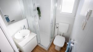 a bathroom with a shower and a sink and a toilet at Terra Park SpiritoS - Luxury mobile house Ina in Kolan