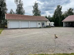 um cão sentado em frente a uma garagem em Katthagen em Skara