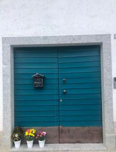 una porta blu del garage con tre piante in vaso davanti di CasaTati a Molina di Ledro