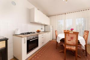 a kitchen with a stove and a table in it at Apartment Dunato in Polje