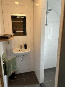 W łazience znajduje się umywalka i prysznic. w obiekcie De Koestal w mieście Odoorn