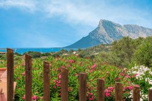 Příroda nedaleko prázdninového domu