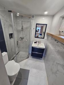 a bathroom with a shower and a toilet and a sink at Leśne Apartamenty in Hel