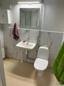 a bathroom with a sink and a toilet and a mirror at Rovaniemi Studio 32 in Muurola