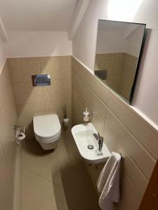 a bathroom with a toilet and a sink and a mirror at Sausoji Apartment in Druskininkai