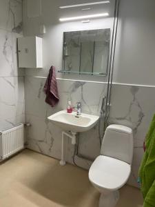 a bathroom with a sink and a toilet and a mirror at Rovaniemi Studio 32 in Muurola