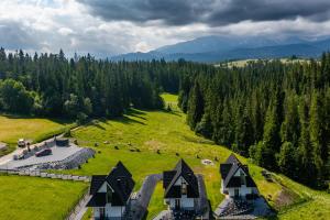 an aerial view of a house in a green field at Smrekowa Ostoja in Poronin