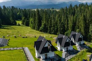 an aerial view of a house on a green field at Smrekowa Ostoja in Poronin