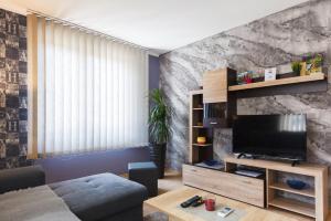 - un salon avec un canapé et une télévision dans l'établissement Apartments NANA, à Golubac