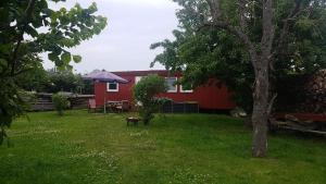 un cortile con una casa rossa e un albero di Ferienwohnung Kruppa a Rerik