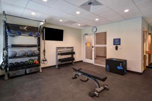Fitness centrum a/nebo fitness zařízení v ubytování Tru By Hilton Rockwall Dallas, Tx