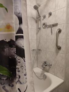 uma casa de banho com um chuveiro e um lavatório. em Ferienwohnanlage Sonnenwald em Langfurth 