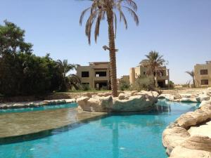 - une piscine avec un palmier dans un complexe dans l'établissement Palm Beach Compound Villa, à Ain Sokhna