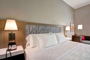 Postel nebo postele na pokoji v ubytování Hampton Inn & Suites Borger + 28 fotografií