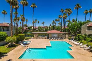 an image of a swimming pool at a resort with palm trees at Mi Hermosa in Palm Springs