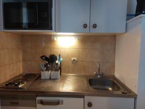 a kitchen counter with a sink and a microwave at Studio Peisey-Vallandry, 1 pièce, 4 personnes - FR-1-411-137 in Landry