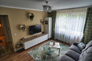 a living room with a couch and a flat screen tv at The Zen Den in Cluj-Napoca