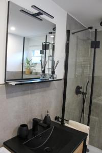 a bathroom with a sink and a shower with a mirror at Hausboot Wangermeer Nordsonne11 in Wangerland