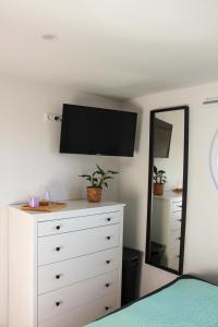 a bedroom with a dresser and a mirror at Hausboot Wangermeer Nordsonne11 in Wangerland