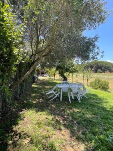 A garden outside Camera graziosa