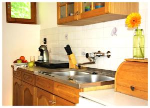 una cocina con fregadero de acero inoxidable y armarios de madera en Hotel Sunshine Balatonlelle, en Balatonlelle