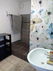 een badkamer met een douche en een witte wastafel bij La maison zen in Sainte-Marie