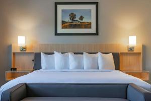 The Waters Hot Springs, Tapestry Collection by Hilton客房内的一张或多张床位