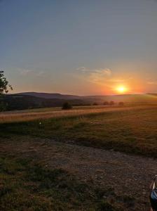 Przyroda w pobliżu tego domu w stylu alpejskim