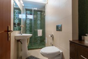 La salle de bains est pourvue d'une douche, de toilettes et d'un lavabo. dans l'établissement Vila Etiquette, à Predeal