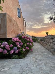 Zahrada ubytování Villa Authentica Lopud, Dubrovnik