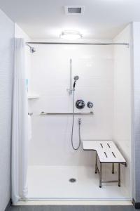 a shower stall with a bench in a bathroom at Hampton Inn Paris IL, IL in Paris