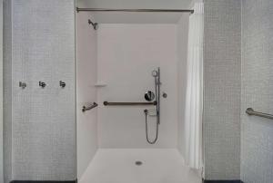 Hampton Inn Cave City, KY的一间浴室
