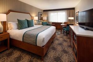レドンドビーチにあるRedondo Beach Hotel, Tapestry Collection by Hiltonのベッドとテレビが備わるホテルルームです。